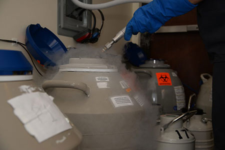 Keeping Frozen Eggs and Embryos Safe